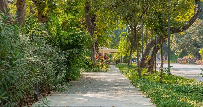 What Makes Vadodara One of India’s Most Livable Cities?
